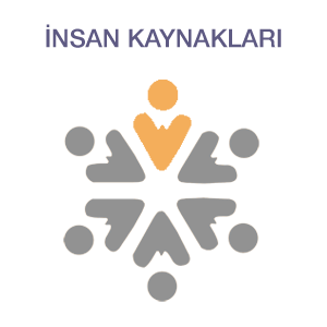 İnsan Kaynakları